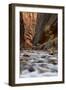 The Narrows of the Virgin River in the Fall-James Hager-Framed Photographic Print