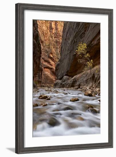 The Narrows of the Virgin River in the Fall-James Hager-Framed Photographic Print