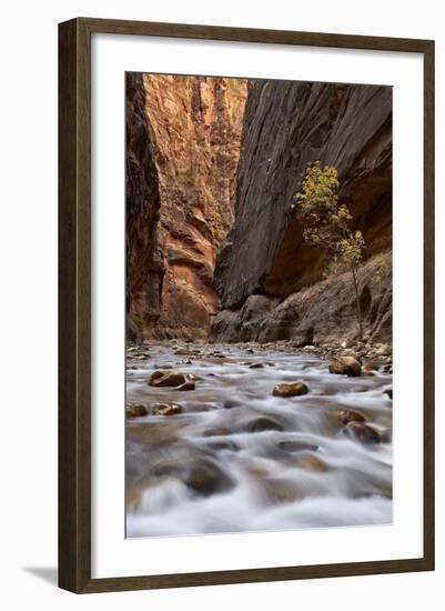 The Narrows of the Virgin River in the Fall-James Hager-Framed Photographic Print