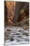 The Narrows of the Virgin River in the Fall-James Hager-Mounted Photographic Print