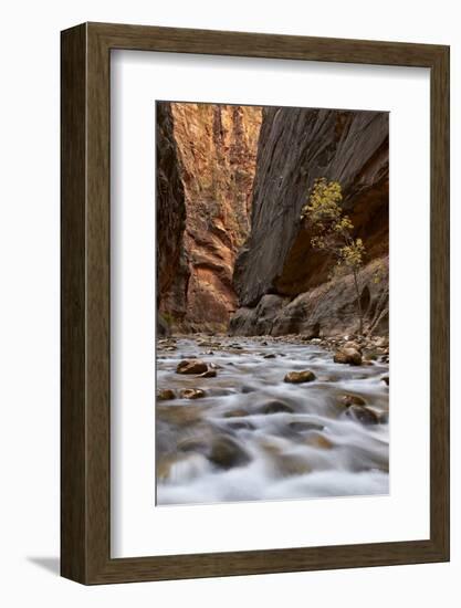 The Narrows of the Virgin River in the Fall-James Hager-Framed Photographic Print