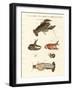 The Nasty River-Crab-null-Framed Giclee Print