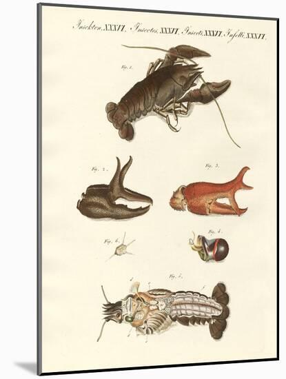 The Nasty River-Crab-null-Mounted Giclee Print