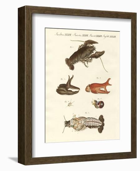 The Nasty River-Crab-null-Framed Giclee Print