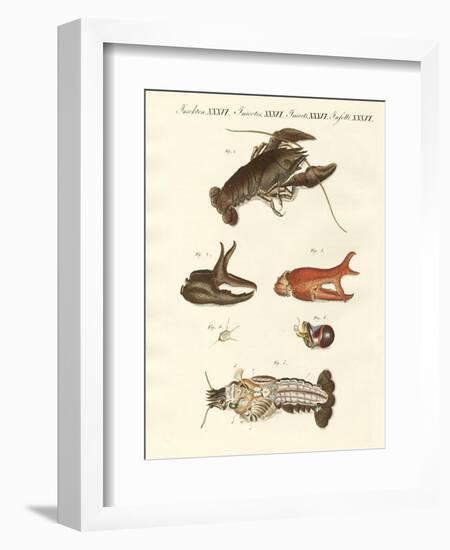 The Nasty River-Crab-null-Framed Giclee Print
