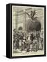 The Nation's Tribute to Queen Victoria-Godefroy Durand-Framed Stretched Canvas