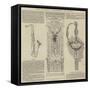 The National Exposition at Paris-null-Framed Stretched Canvas