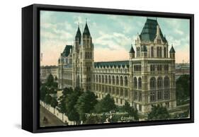 The National History Museum, London-null-Framed Stretched Canvas