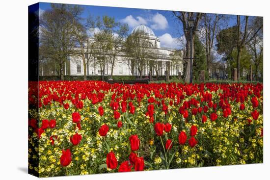 The National Museum of Wales, Cardiff, Wales, United Kingdom-Billy Stock-Stretched Canvas