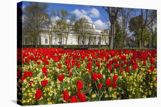 The National Museum of Wales, Cardiff, Wales, United Kingdom-Billy Stock-Stretched Canvas