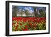 The National Museum of Wales, Cardiff, Wales, United Kingdom-Billy Stock-Framed Photographic Print