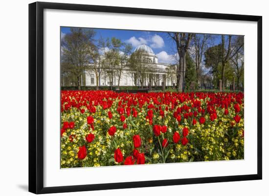 The National Museum of Wales, Cardiff, Wales, United Kingdom-Billy Stock-Framed Photographic Print