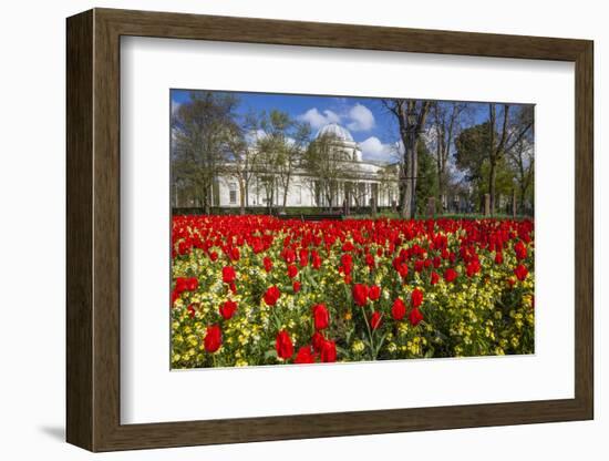 The National Museum of Wales, Cardiff, Wales, United Kingdom-Billy Stock-Framed Photographic Print