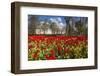 The National Museum of Wales, Cardiff, Wales, United Kingdom-Billy Stock-Framed Photographic Print