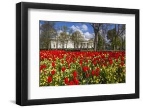 The National Museum of Wales, Cardiff, Wales, United Kingdom-Billy Stock-Framed Photographic Print