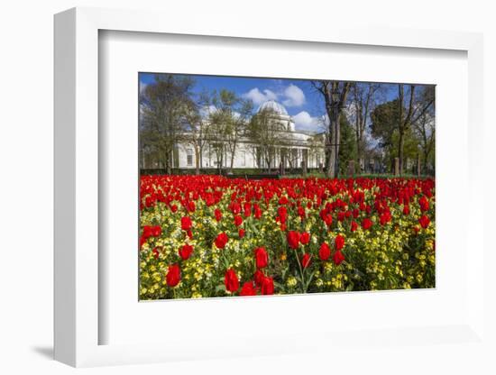 The National Museum of Wales, Cardiff, Wales, United Kingdom-Billy Stock-Framed Photographic Print