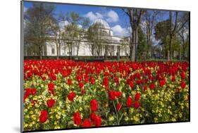 The National Museum of Wales, Cardiff, Wales, United Kingdom-Billy Stock-Mounted Photographic Print