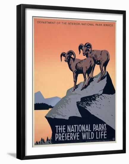 The National Parks Preserve Wild Life, ca. 1936-1939-J^ Hirt-Framed Art Print