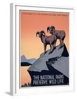 The National Parks Preserve Wild Life, ca. 1936-1939-J^ Hirt-Framed Art Print