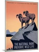 The National Parks Preserve Wild Life, ca. 1936-1939-J^ Hirt-Mounted Art Print