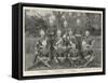 The National Rifle Association Meeting at Bisley, the Cape Team-null-Framed Stretched Canvas