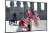 The National World War II Memorial in Washington, Dc.-Jon Hicks-Mounted Photographic Print