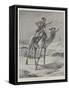 The Native Egyptian Army, the Camel Corps-William Heysham Overend-Framed Stretched Canvas