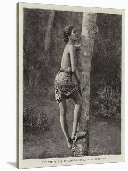 The Native Way of Climbing Cocoa Palms in Ceylon-null-Stretched Canvas