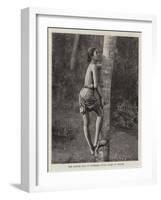 The Native Way of Climbing Cocoa Palms in Ceylon-null-Framed Giclee Print