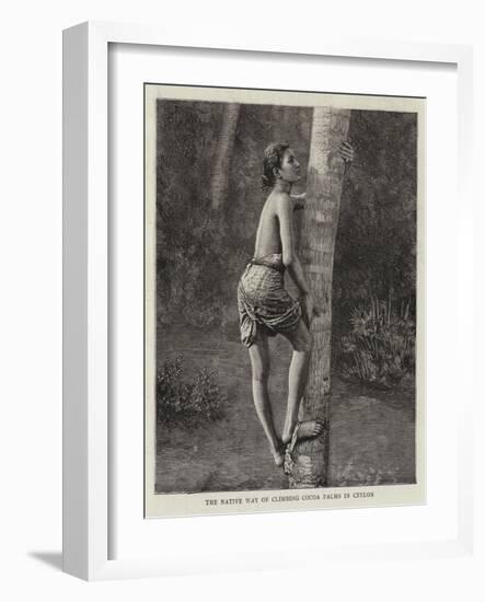 The Native Way of Climbing Cocoa Palms in Ceylon-null-Framed Giclee Print