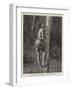 The Native Way of Climbing Cocoa Palms in Ceylon-null-Framed Giclee Print