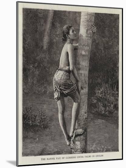The Native Way of Climbing Cocoa Palms in Ceylon-null-Mounted Giclee Print