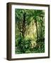 The Natives of Brazil Throwing Stones at Monkeys to Make Them Pick Nuts that are Thrown down - Phot-null-Framed Giclee Print