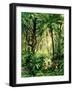 The Natives of Brazil Throwing Stones at Monkeys to Make Them Pick Nuts that are Thrown down - Phot-null-Framed Giclee Print