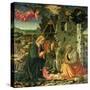 The Nativity, 1465-70 (Oil on Panel)-Fra Filippo Lippi-Stretched Canvas