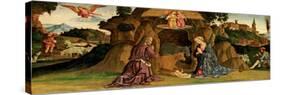 The Nativity, 1480s-Antoniazzo Romano-Stretched Canvas
