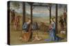 The Nativity, 1500-05-Pietro Perugino-Stretched Canvas