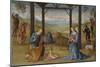 The Nativity, 1500-05-Pietro Perugino-Mounted Giclee Print