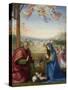 The Nativity, 1504-07-Fra Bartolommeo-Stretched Canvas