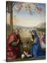 The Nativity, 1504-07-Fra Bartolommeo-Stretched Canvas