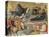 The Nativity and Other Episodes from the Childhood of Christ-Pietro Da Rimini-Stretched Canvas