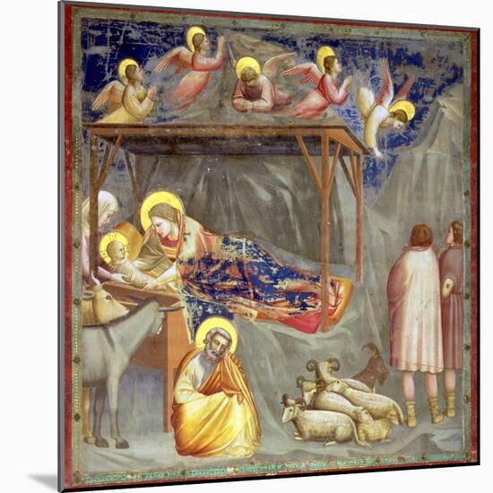 The Nativity, C.1305-Giotto di Bondone-Mounted Giclee Print