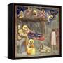 The Nativity, C.1305-Giotto di Bondone-Framed Stretched Canvas