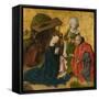 The Nativity, c.1460-Netherlandish School-Framed Stretched Canvas