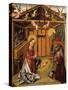 The Nativity (Triptyc), 1467-1500-García del Barco-Stretched Canvas