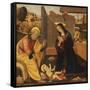 The Nativity-Fillippino Lippi-Framed Stretched Canvas