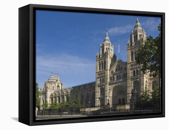 The Natural History Museum, London, England, United Kingdom, Europe-James Emmerson-Framed Stretched Canvas