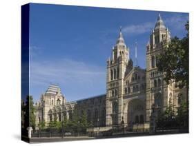 The Natural History Museum, London, England, United Kingdom, Europe-James Emmerson-Stretched Canvas