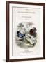 The Naturalist's Library, Entomology, Vol V, Butterflies, C1833-1865-William Home Lizars-Framed Giclee Print