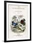 The Naturalist's Library, Entomology, Vol V, Butterflies, C1833-1865-William Home Lizars-Framed Giclee Print
